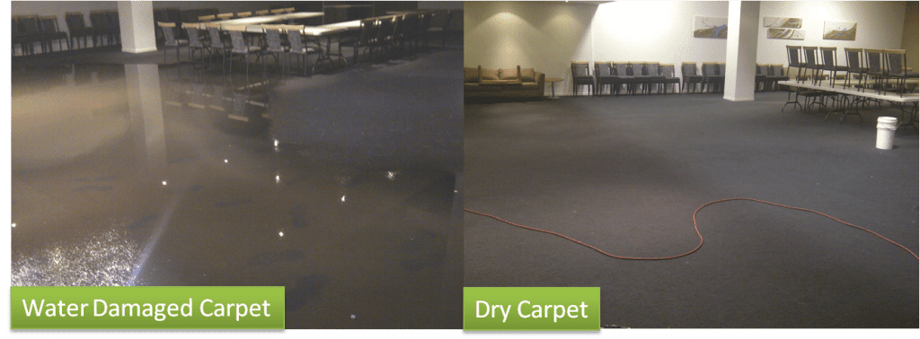 Water-Damage-Carpet-Restoration-Before-and-After