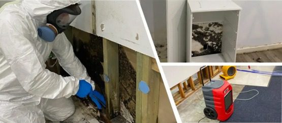 Eliminate Cause of Mould