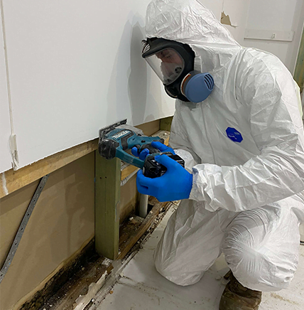 Mould Removal Specialist